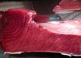 マグロ解体ショー〜観客も真剣!