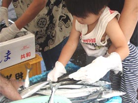 どれだけ取れるかサンマのつかみどり!